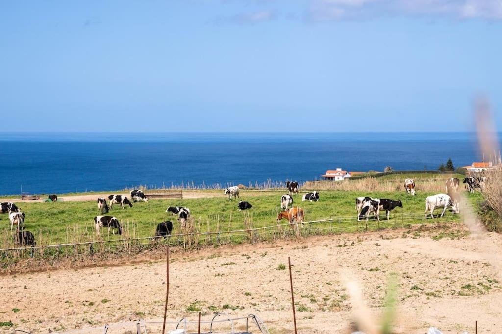 Country House In Azores - S. Miguel Рибейра Гранде Екстериор снимка