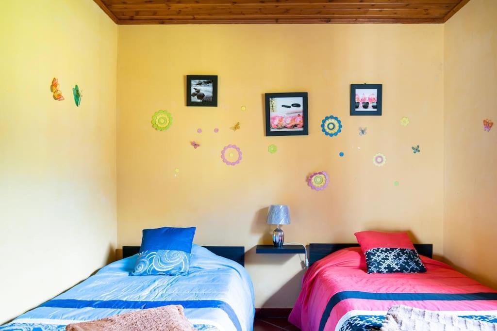 Country House In Azores - S. Miguel Рибейра Гранде Екстериор снимка
